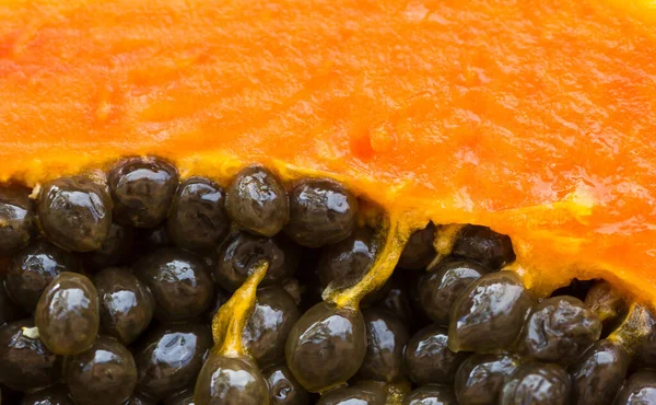 Närbild Färsk Papaya — Stockfoto