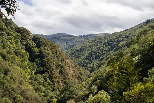 スペイン タラムンディの美しい森の風景 — ストック写真