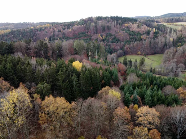 Sonbahar Ormanındaki Renkli Ağaçların Hava Görüntüsü — Stok fotoğraf