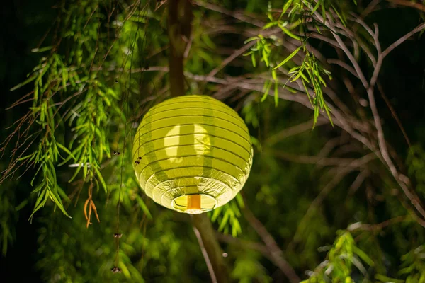 Low Angle Shot Chinese Paper Lantern — Stock Photo, Image