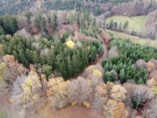 Vzdušný Záběr Barevných Stromů Podzimním Lese — Stock fotografie