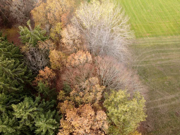 Αεροφωτογραφία Τοπίου Και Φθινοπωρινών Δέντρων Αγροτική Περιοχή — Φωτογραφία Αρχείου
