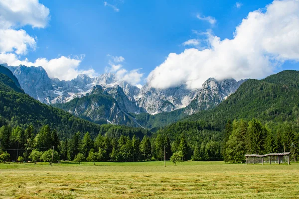 曇り空の下 緑豊かな美しい山の風景 — ストック写真