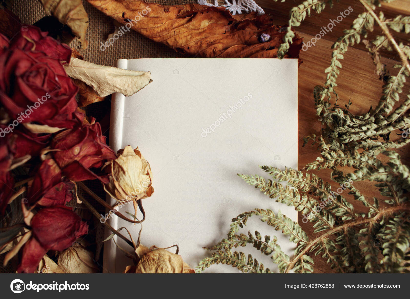 Collection of dried plants with a paper background (2475654)