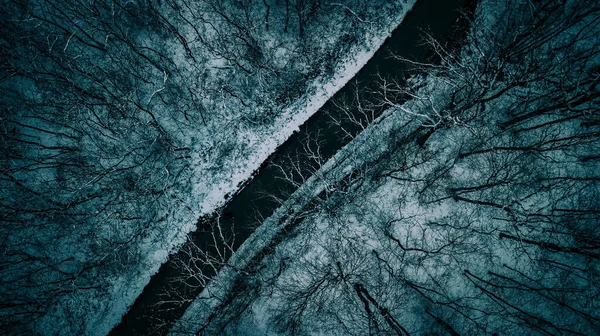 Tiro Aéreo Uma Estrada Cercada Por Uma Floresta Coberta Neve — Fotografia de Stock