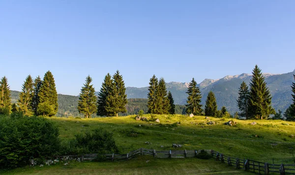 Een Prachtig Bergachtig Landschap Met Groen Onder Een Bewolkte Lucht — Stockfoto
