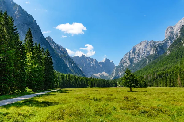 Прекрасний Гірський Пейзаж Зеленню Під Хмарним Небом — стокове фото