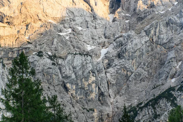 Una Bella Vista Delle Formazioni Rocciose Con Albero Primo Piano — Foto Stock