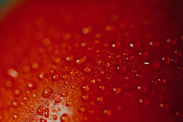 赤いトマトのクローズアップで水滴がついています — ストック写真