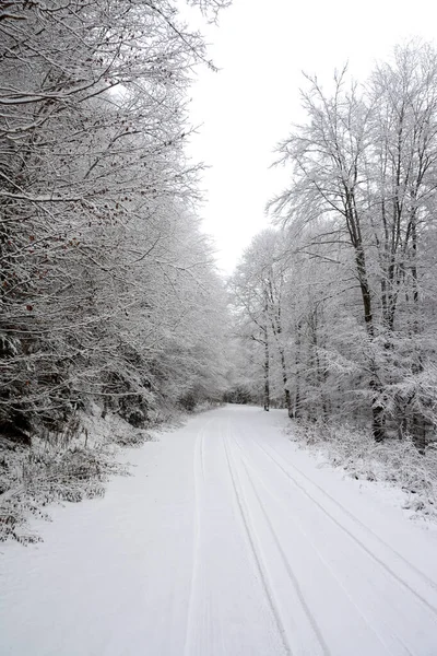 Una Hermosa Toma Camino Nevado Bosque Invierno —  Fotos de Stock