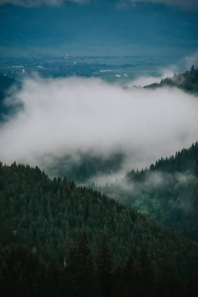 霧の日に美しい山岳風景の魅惑的なショット — ストック写真