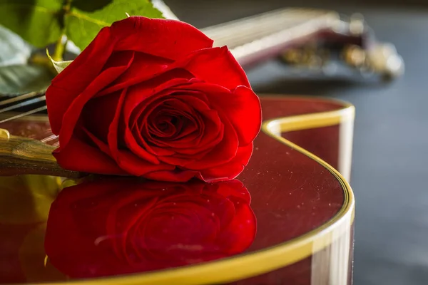 Primo Piano Una Rosa Rossa Sul Tavolo — Foto Stock