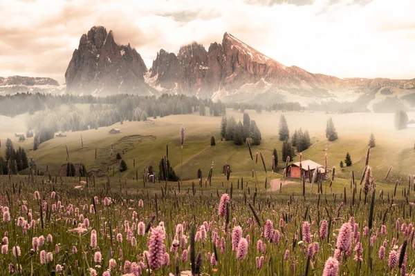 Vale Cênico Com Flores Árvores Campo Pitoresco Montanhas Fundo Enevoado — Fotografia de Stock