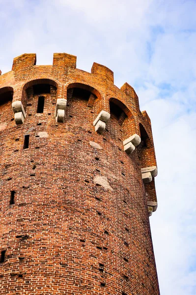 Vertical Shot Medieval Castle Swiecie Poland — Stock Photo, Image