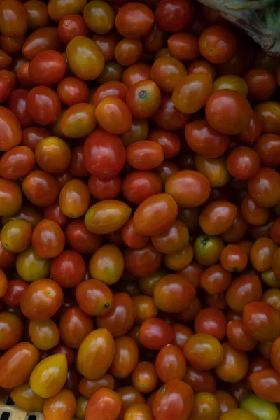Una Toma Vertical Tomates —  Fotos de Stock