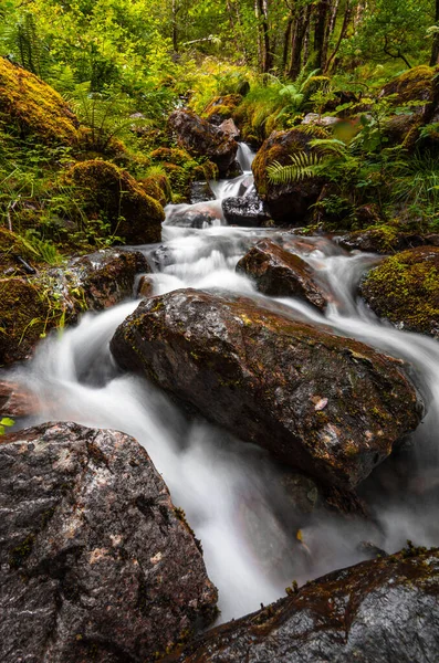Malebný Vodopád Tajemném Lese Malebná Příroda Skotska — Stock fotografie