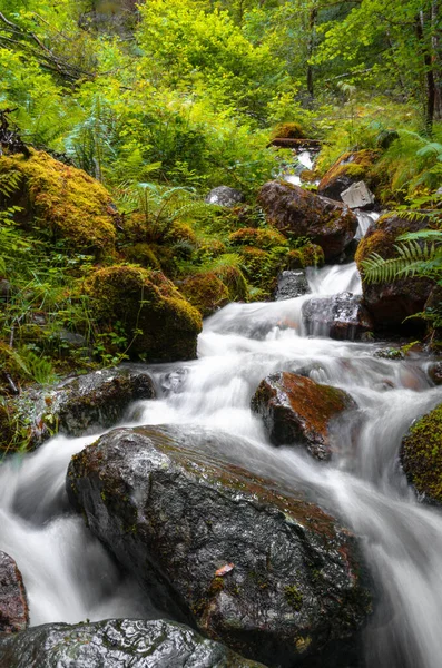 Une Cascade Pittoresque Dans Mystérieuse Forêt Nature Pittoresque Écosse — Photo