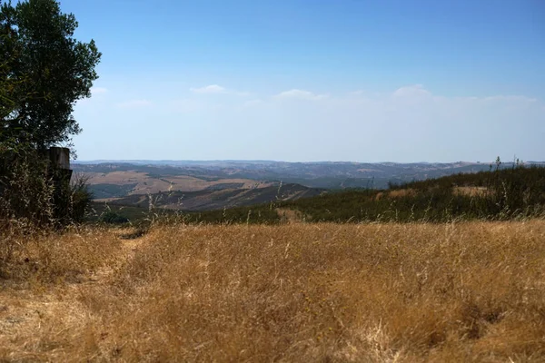 Hermoso Plano Paisaje Rural — Foto de Stock