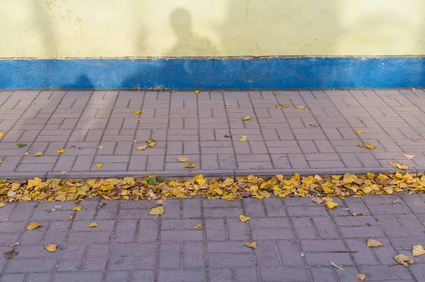 Een Shot Van Gele Herfst Bladeren Naast Stoep Straat — Stockfoto