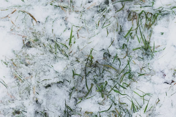 Una Vista Superior Hierba Verde Suelo Cubierta Nieve — Foto de Stock