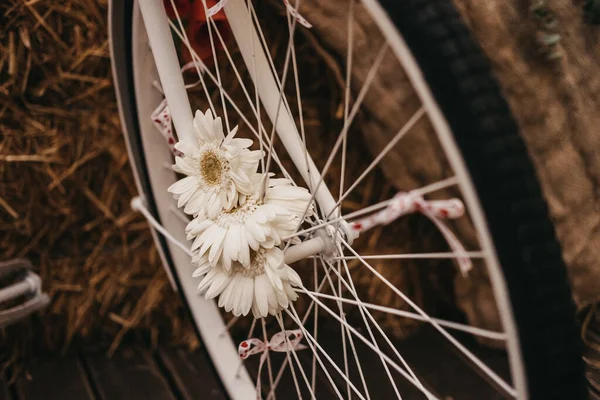 Closeup Shot Bike Wheel Decorated Flowers — Stock Photo, Image
