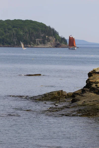 Vertikal Bild Små Öar Franska Viken Vid Bar Harbor Maine — Stockfoto