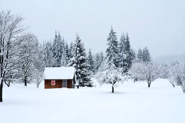 Vacker Bild Ett Hus Snöig Skog — Stockfoto