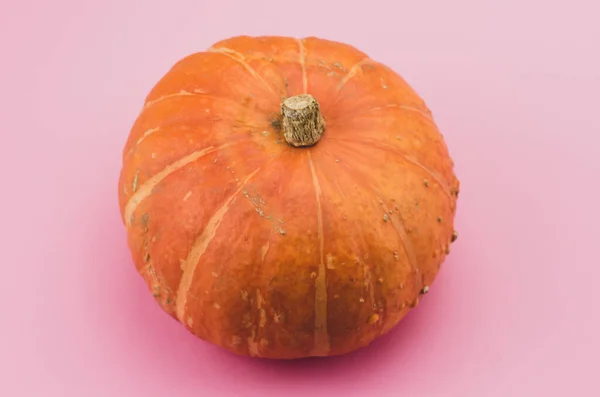 Una Vista Superior Calabaza Sobre Una Superficie Rosa — Foto de Stock