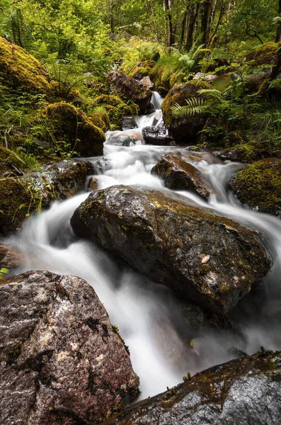 Malebný Vodopád Tajemném Lese Malebná Příroda Skotska — Stock fotografie