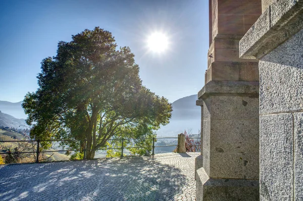 Vacker Utsikt Över Ljus Sol Ovanför Ett Träd Vid Ett — Stockfoto