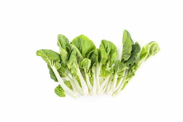 Vertikální Záběr Zelené Listové Zeleniny Izolované Bílém Pozadí — Stock fotografie