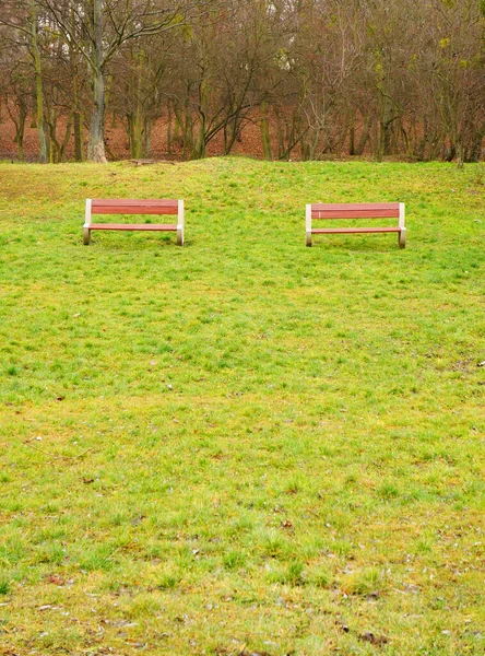 有两张木制长椅的绿色公园的立面照片 — 图库照片