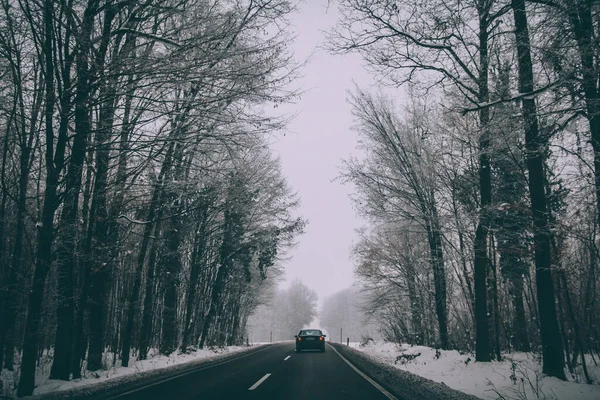 Een Auto Weg Door Een Winterpark — Stockfoto