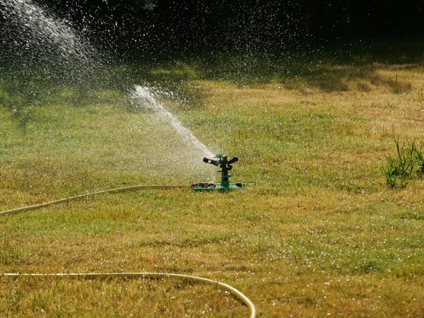 Blick Auf Wassersprenger Rasen — Stockfoto