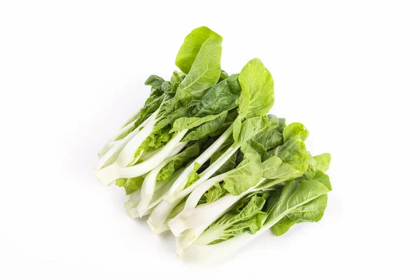 Some Bok Choys Isolated White Background — 스톡 사진