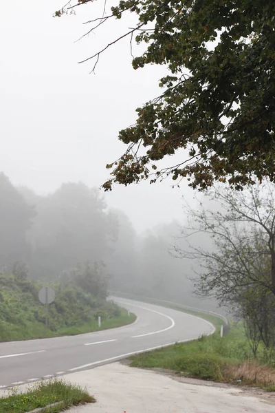 Uno Scatto Verticale Una Strada Tra Alberi Aree Verdi — Foto Stock