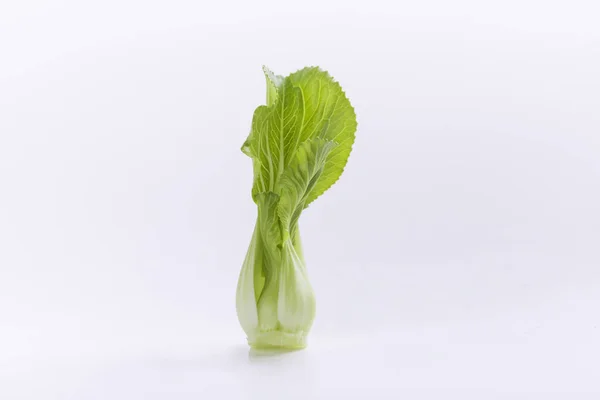 Mucchio Bok Choy Isolato Uno Sfondo Bianco — Foto Stock