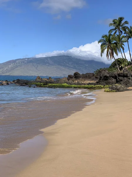 夏威夷毛伊岛一个被大海环绕的海滩和阳光下的绿地的垂直照片 — 图库照片