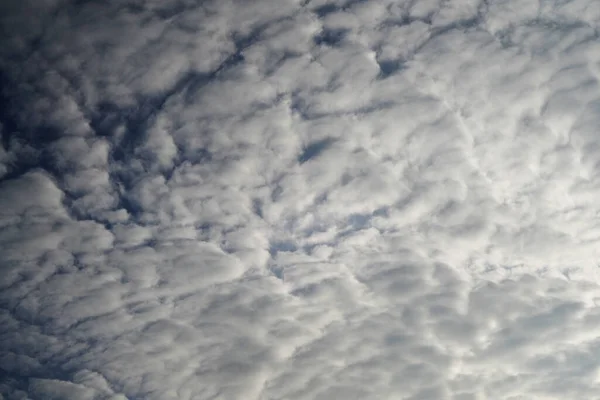 Närbild Låg Vinkel Skott Kraftigt Grumlad Himmel Kan Användas Som — Stockfoto