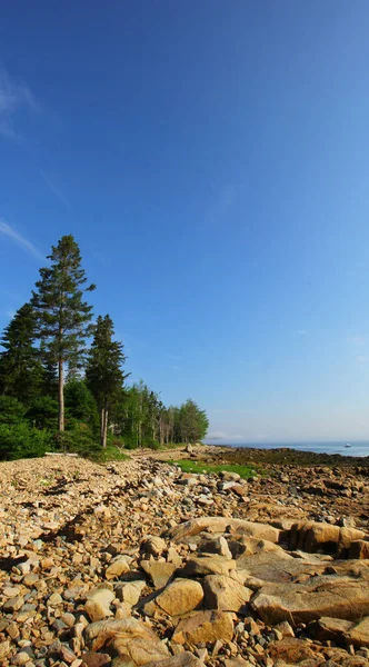 Tiro Vertical Costa Pedregosa Gouldsboro Bay Maine Sob Luz Sol — Fotografia de Stock