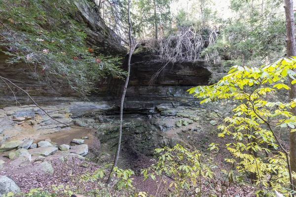 Ambiente Umido Una Foresta Con Pietre Ricoperte Muschio Catturate Durante — Foto Stock