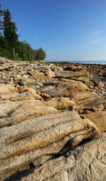 Tiro Vertical Costa Pedregosa Gouldsboro Bay Maine Sob Luz Sol — Fotografia de Stock