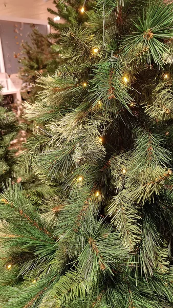 Vertical Shot Christmas Tree Lit Lights Holidays Concept — Stock Photo, Image