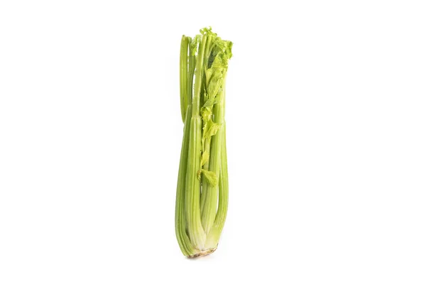 Stonek Celeru Izolovaný Bílém Pozadí — Stock fotografie