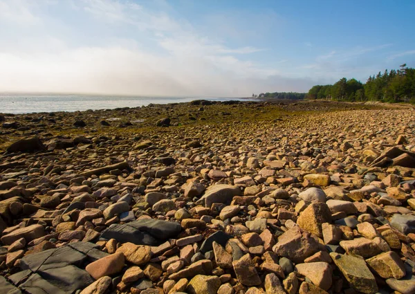 Krajinný Kamenitý Břeh Zálivu Gouldsboro Maine Pod Slunečním Světlem — Stock fotografie