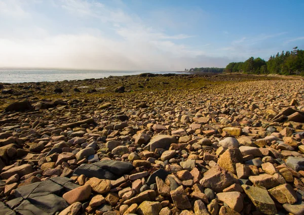 Una Costa Pedregosa Del Paisaje Gouldsboro Bay Maine Bajo Luz — Foto de Stock