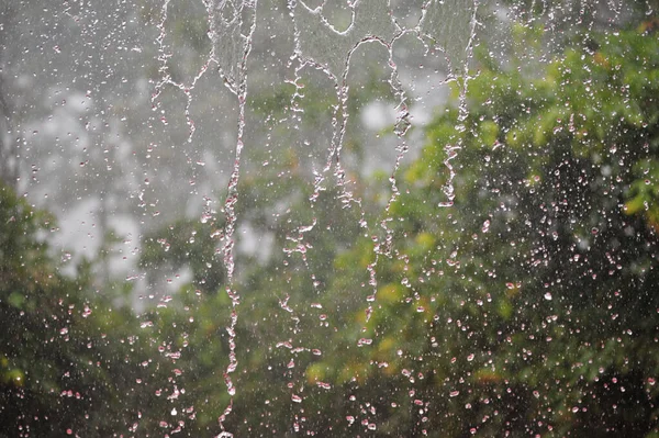 Raindrops Heavy Rain Blurred Green Bushed Background — 图库照片