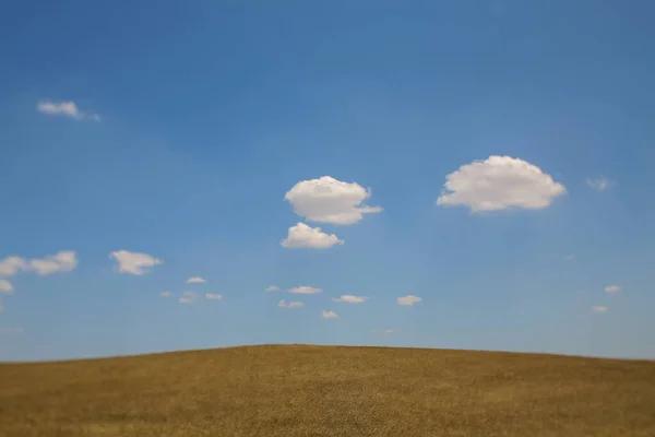 Modrá Zamračená Obloha Nad Nekonečným Polem — Stock fotografie