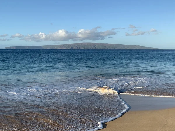 夏威夷毛伊岛一个被大海环抱的海滩 阳光下的群山和蓝天 — 图库照片