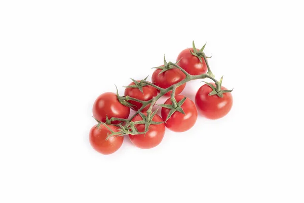 Die Roten Tomaten Einer Weinrebe Isoliert Auf Weißem Hintergrund — Stockfoto